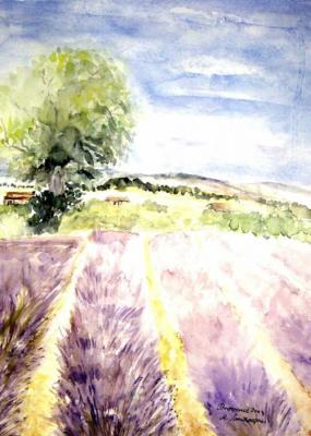 Lavendelfeld in der Provence (2003) Agnes Vonhoege - Agnes Vonhoegen - Array auf Array - Array - 