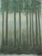 Tannenwald - Robert Schiff - Tempera auf Papier - Wald - Impressionismus