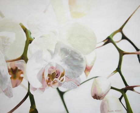 Opulente Orchidee - dunjate Kunst in Acryl - Array auf Array - Array - Array