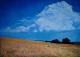 Die Wolke - Serge Bego - Acryl auf Leinwand - Landschaft - 