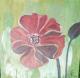 Mohnblume GroÃ - Aleksandra Schoenfeld - Acryl auf Leinwand - Mohn - 