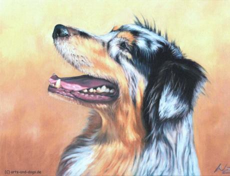 Australian Shepherd - Nicole Zeug - Array auf  - Array - 