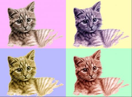 Kitten PopArt - Nicole Zeug - Array auf  - Array - 