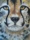 Leopard - Jacqueline Scheib - Pastell auf Papier - Natur - 