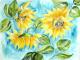 Lieblich sich windene Sonnenblumen - Witburg DÃ¤hling - Aquarell auf  - Sonnenblumen - 